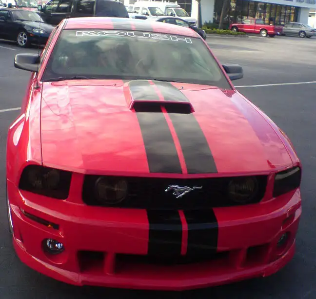 newstripesfront.webp