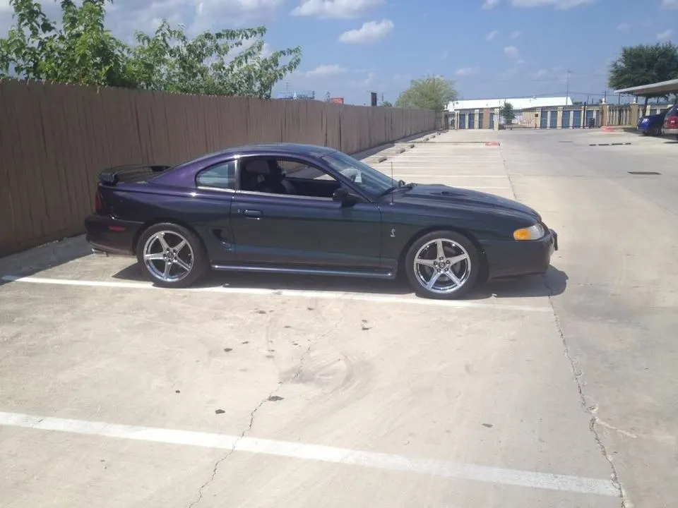 newwheels1.webp