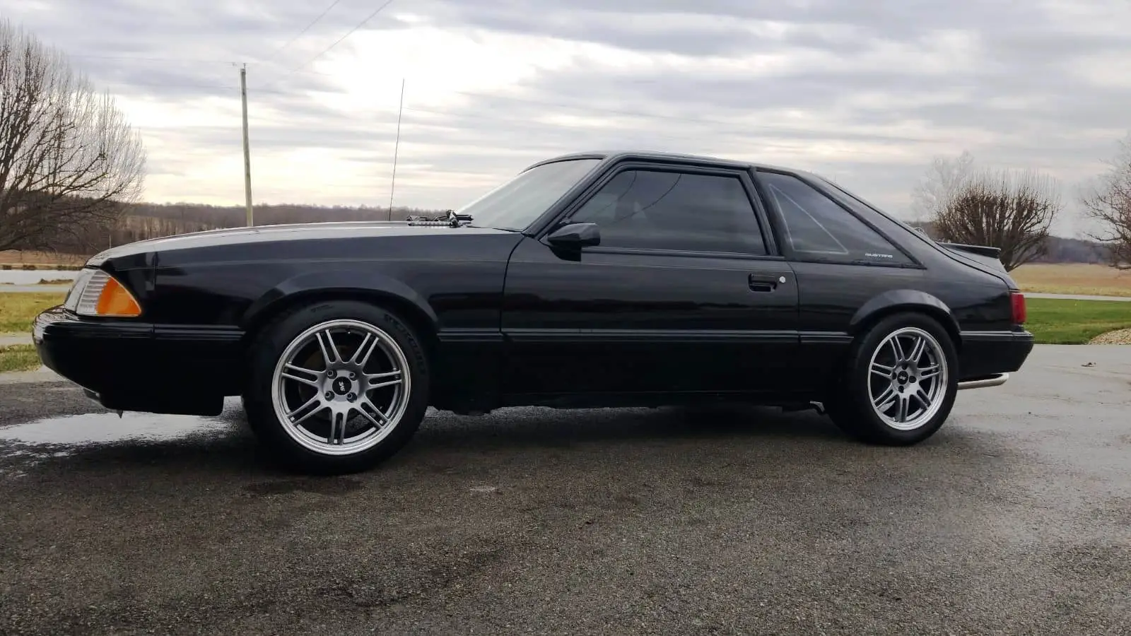 NewWheels2.jpg