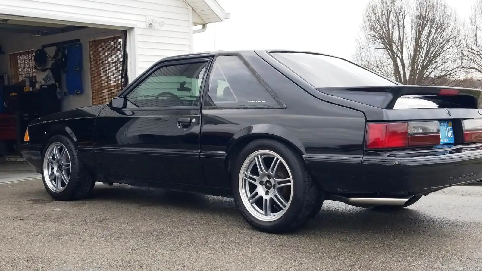 NewWheels3.webp