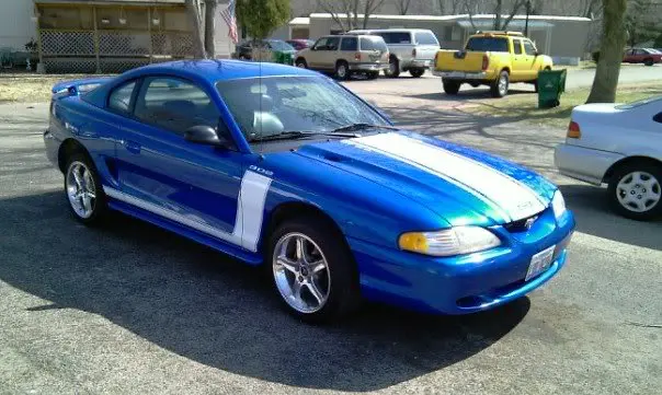 newwhip.webp