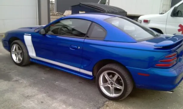 newwhip2.webp