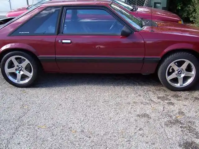 nicesideshot.webp