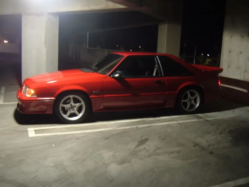 NightShots001.webp