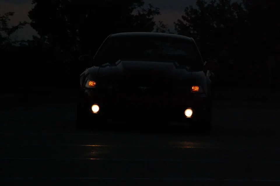 NightSummer09023.webp