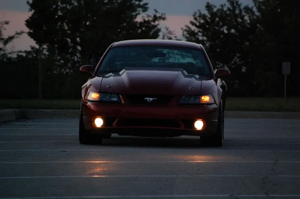 NightSummer09025.webp