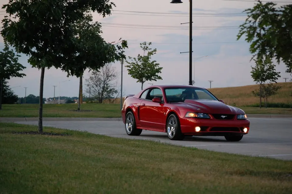NightSummer09030.webp