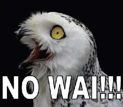 nowai.webp