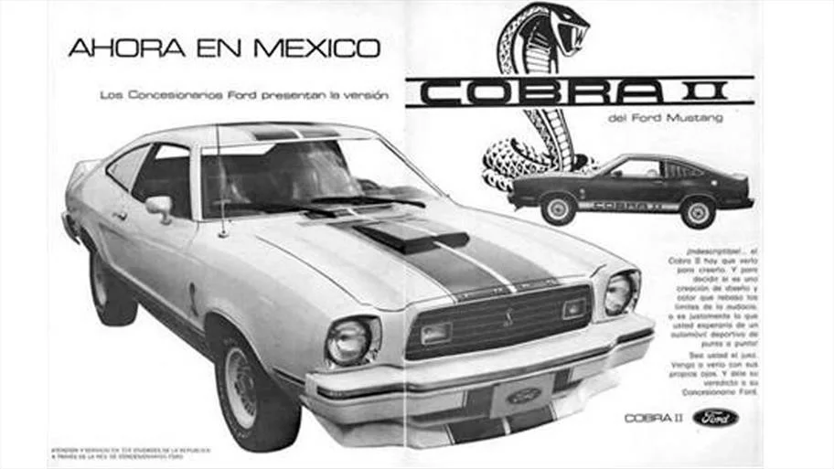 NPAZ_9e2437c6565c46a0844584b8ef60f8f4.webp