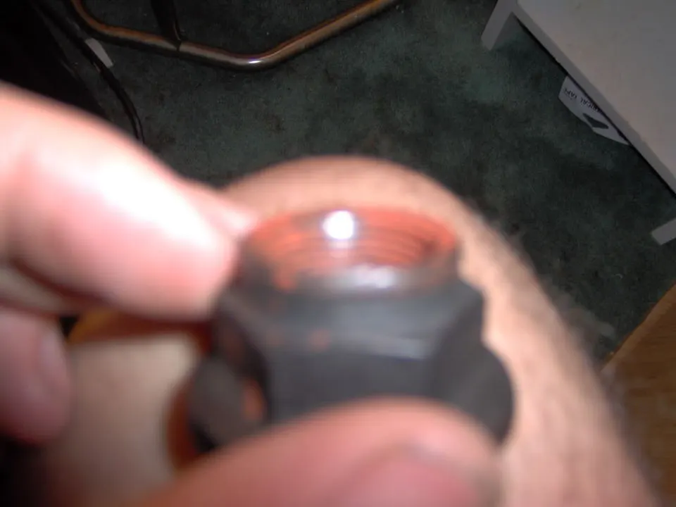 Nut1.webp