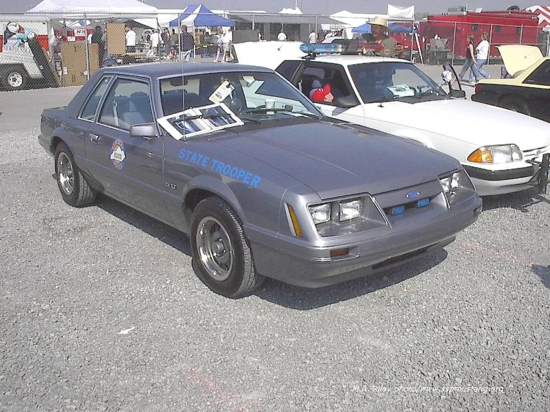 NV40TH_Show_46.webp