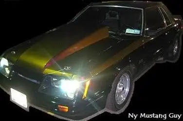 NyMustangGuy2.webp
