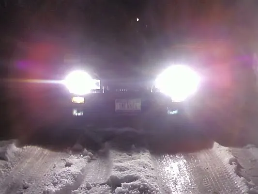 nymustangguyhid.webp
