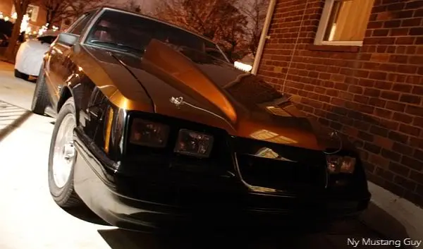 NyMustangGuyWhip.webp