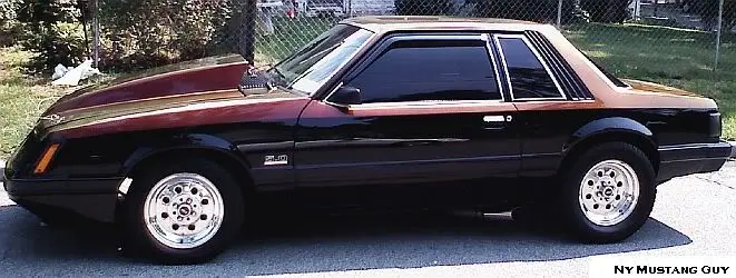 NyStang818.webp