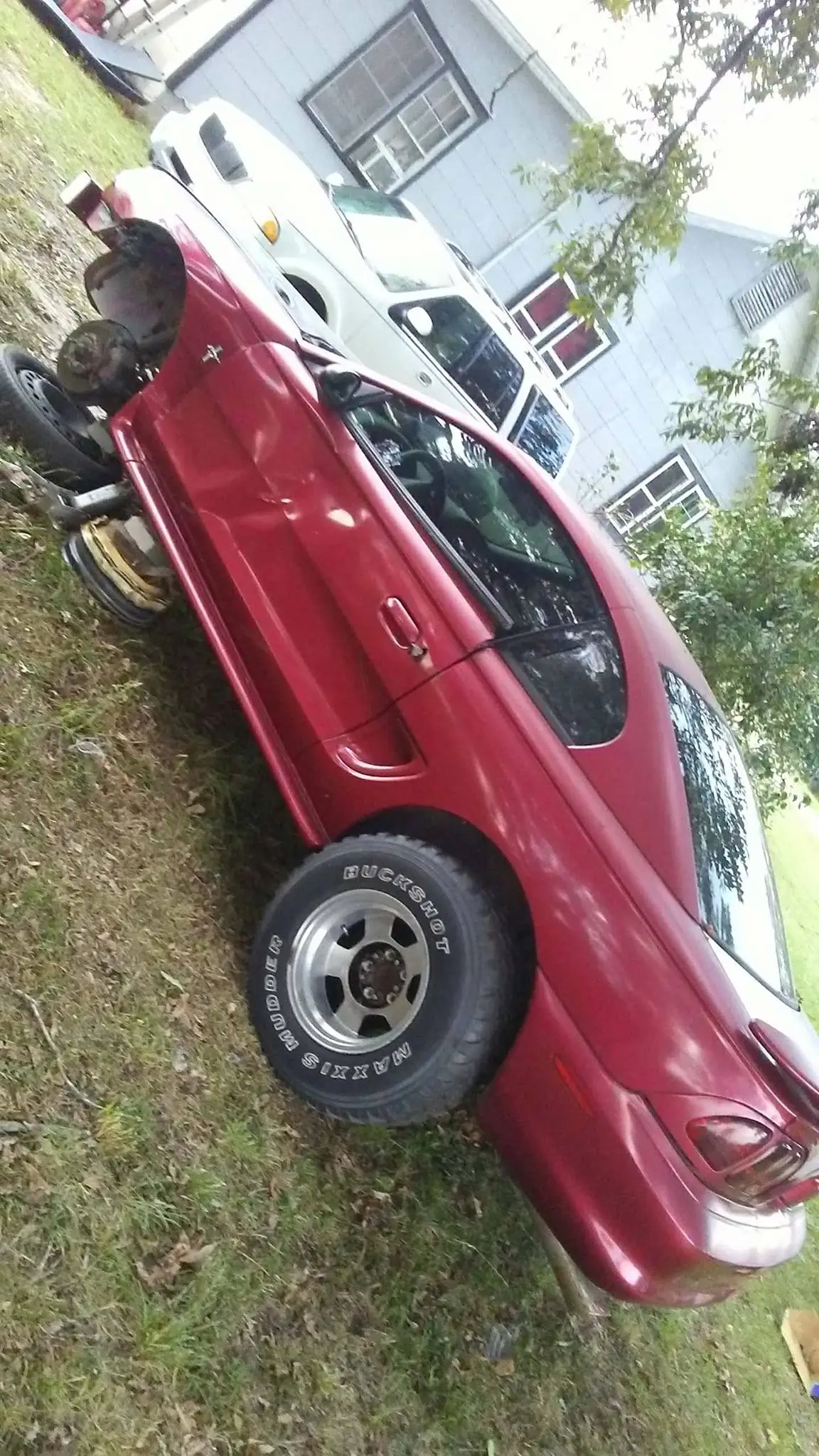 o62P20i.webp