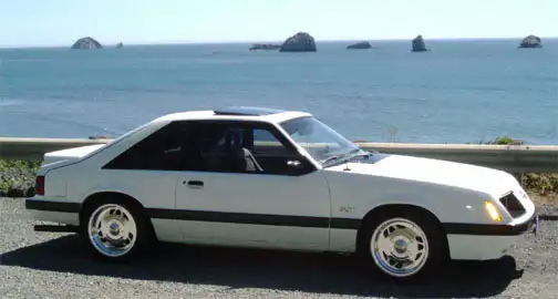 ocean85.webp