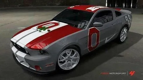 Ohio Buckeye car.webp