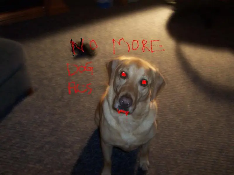 ohmy.webp