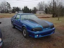oldmustang4.webp