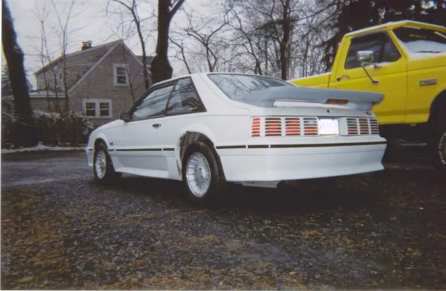 oldstang1.webp