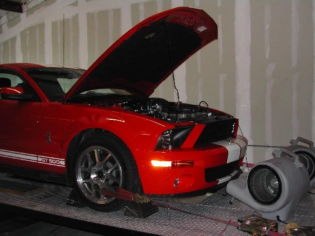 ondyno.webp