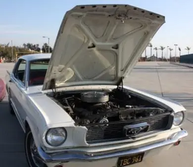 Open Hood.webp