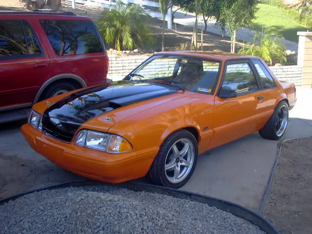 Orange.webp