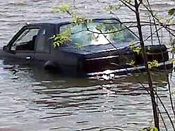 OttNews248.webp