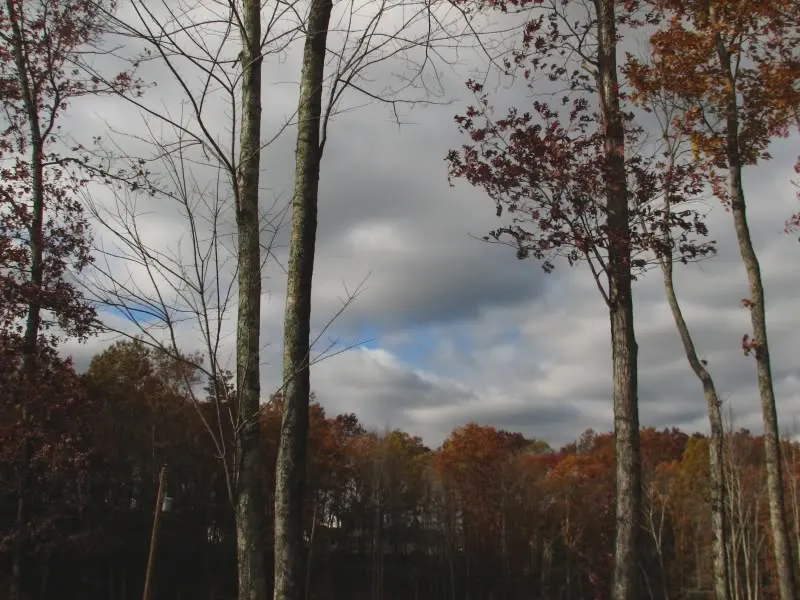 outside2.webp