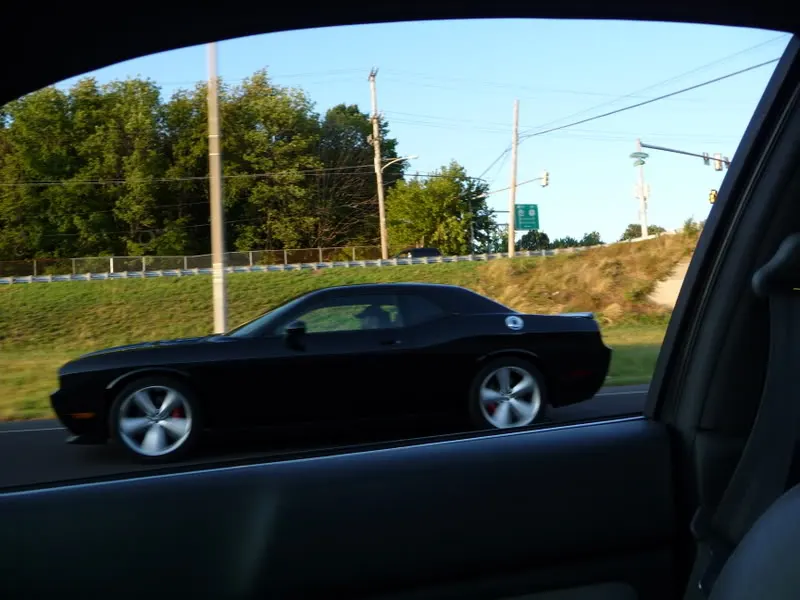 P1000017.webp
