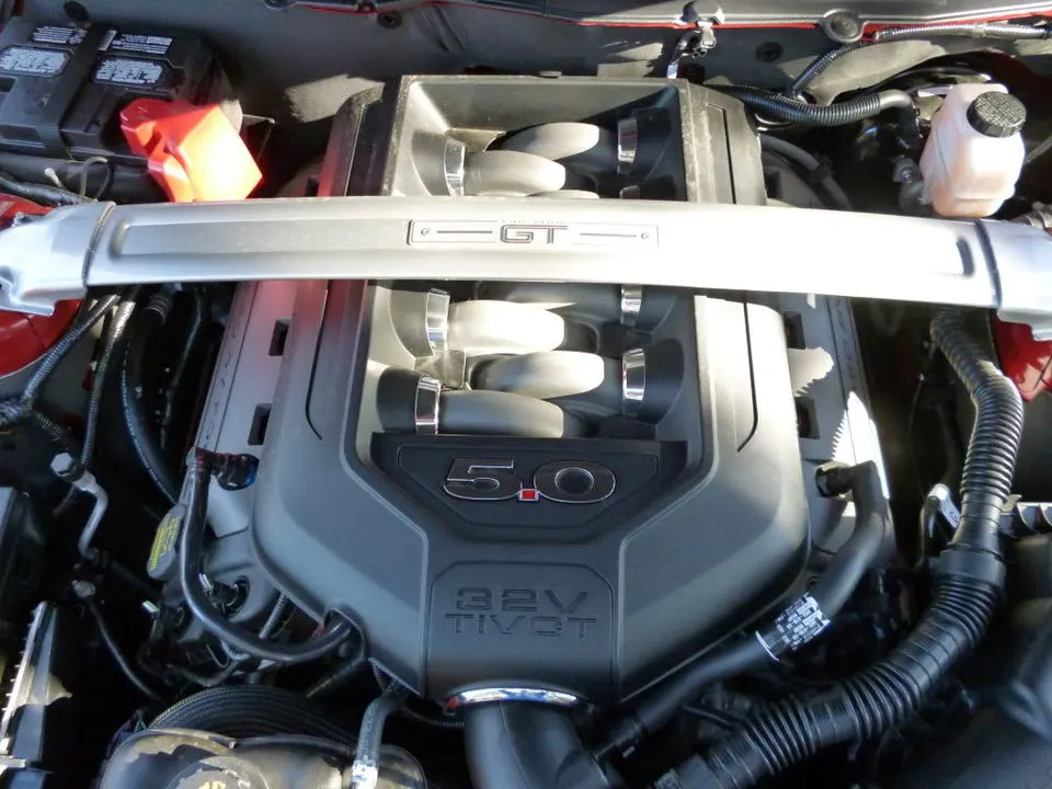P1000027.webp