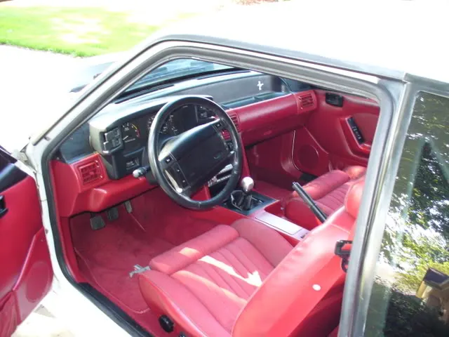 P1000188.webp