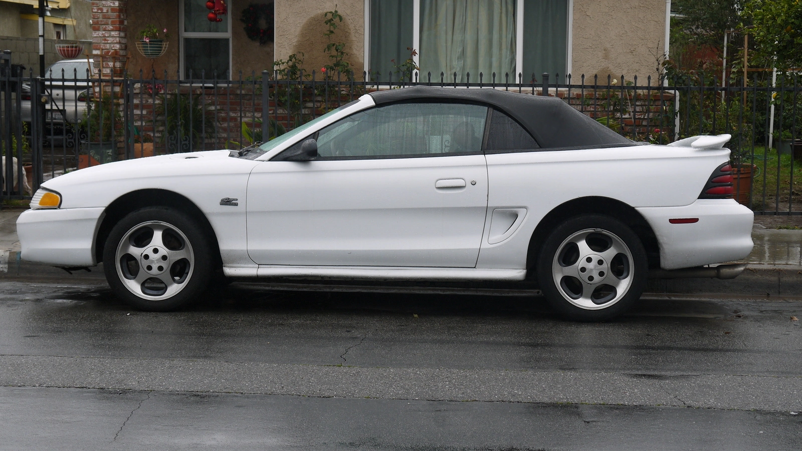 P1000213.webp