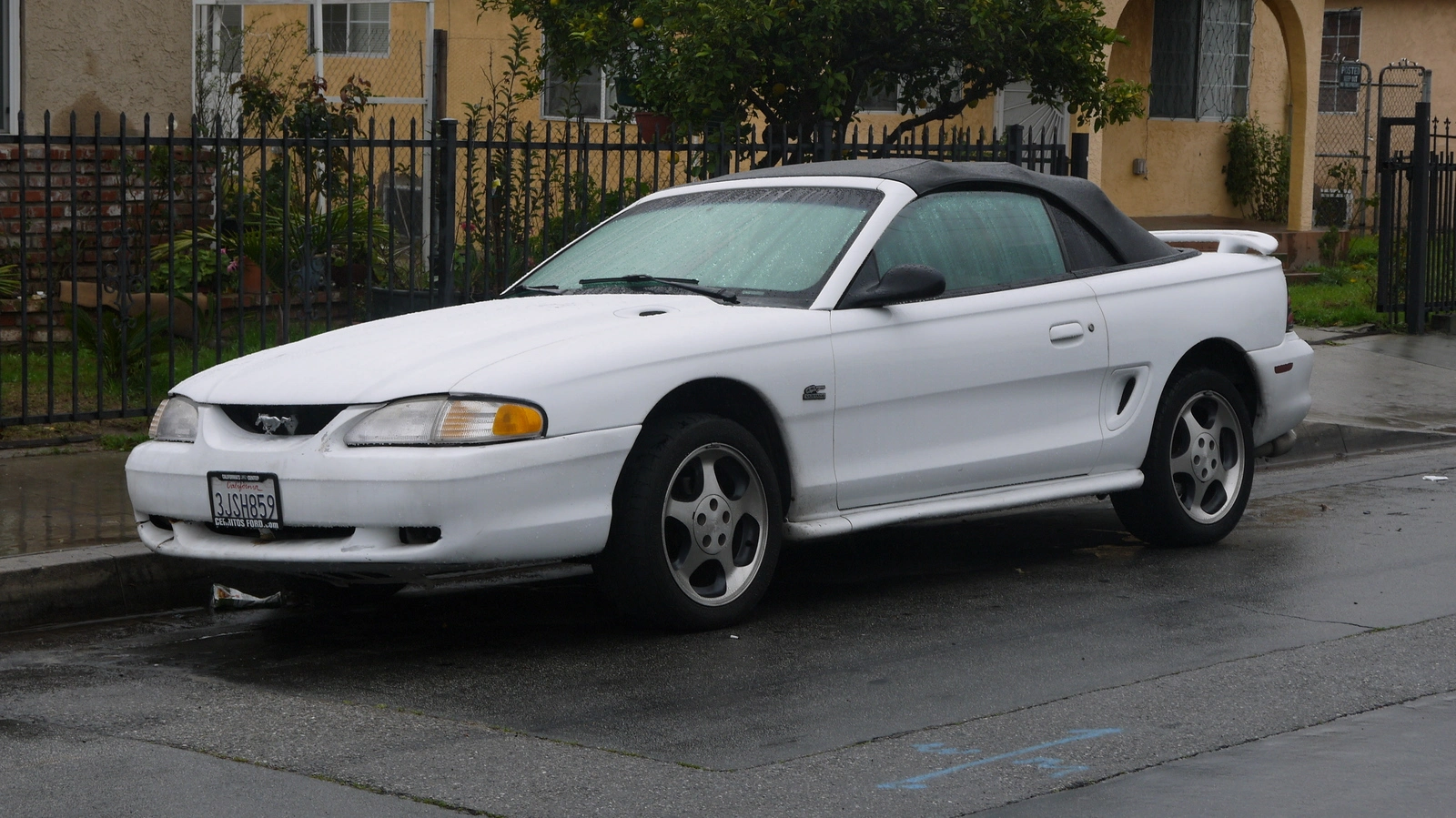 P1000216.webp