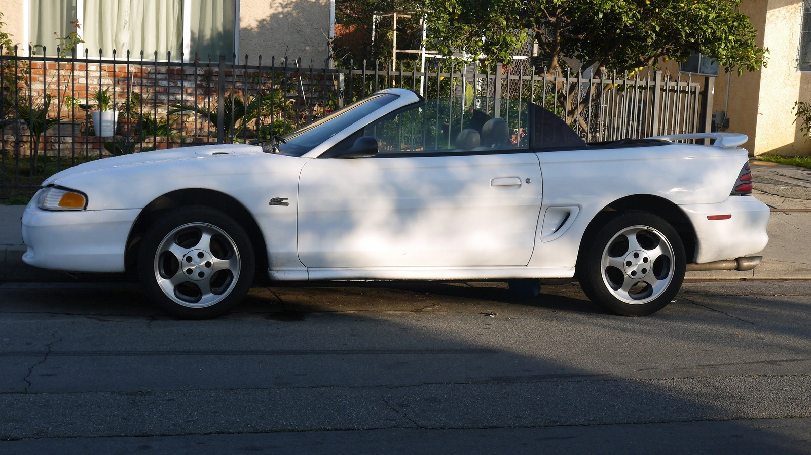 P1000241.webp