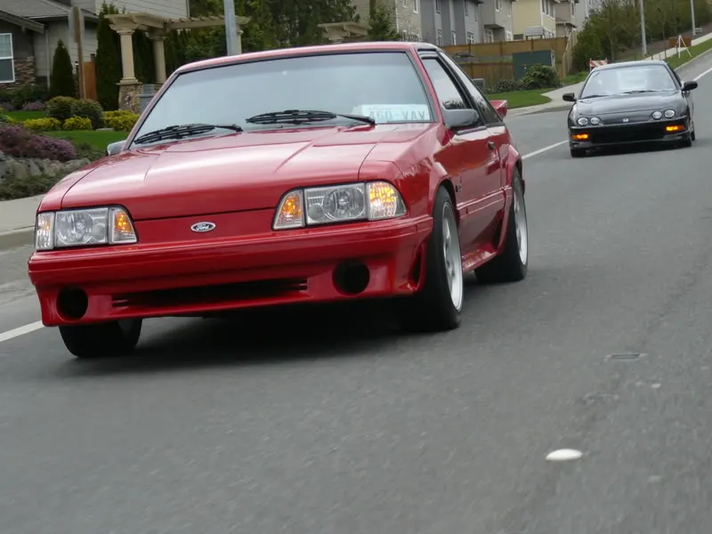 P1000360.webp