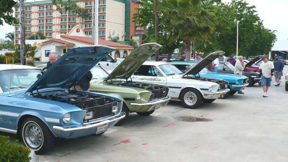 P1000388.webp
