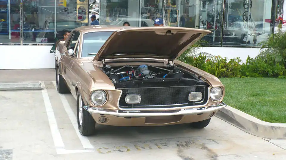 P1000390.webp