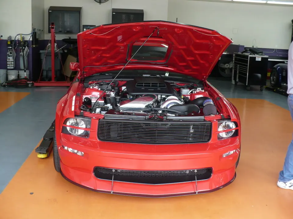 P1000405.webp