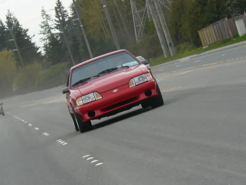 P1000424.webp