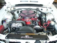 p1000978ap4.th.webp