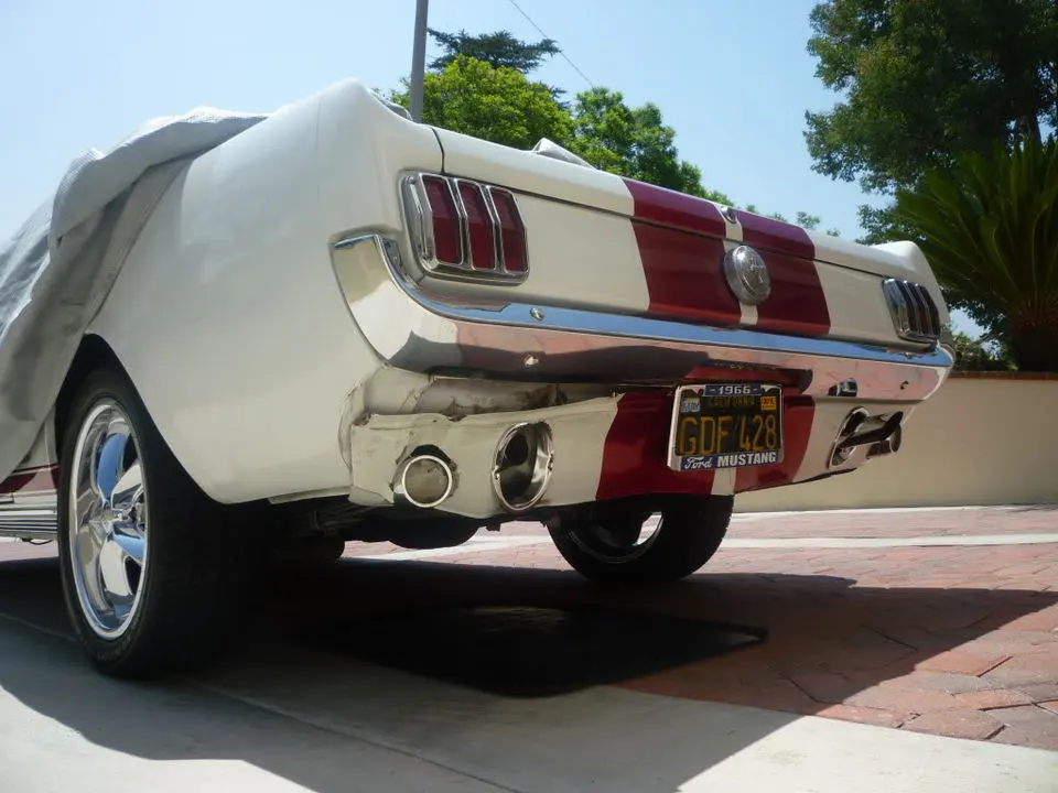 P1010002.webp