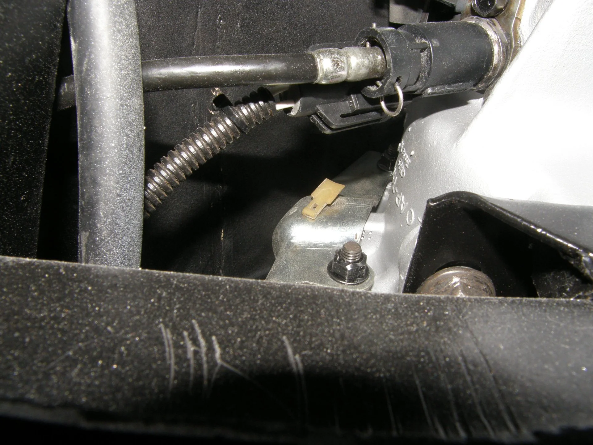 P1010004_4.webp