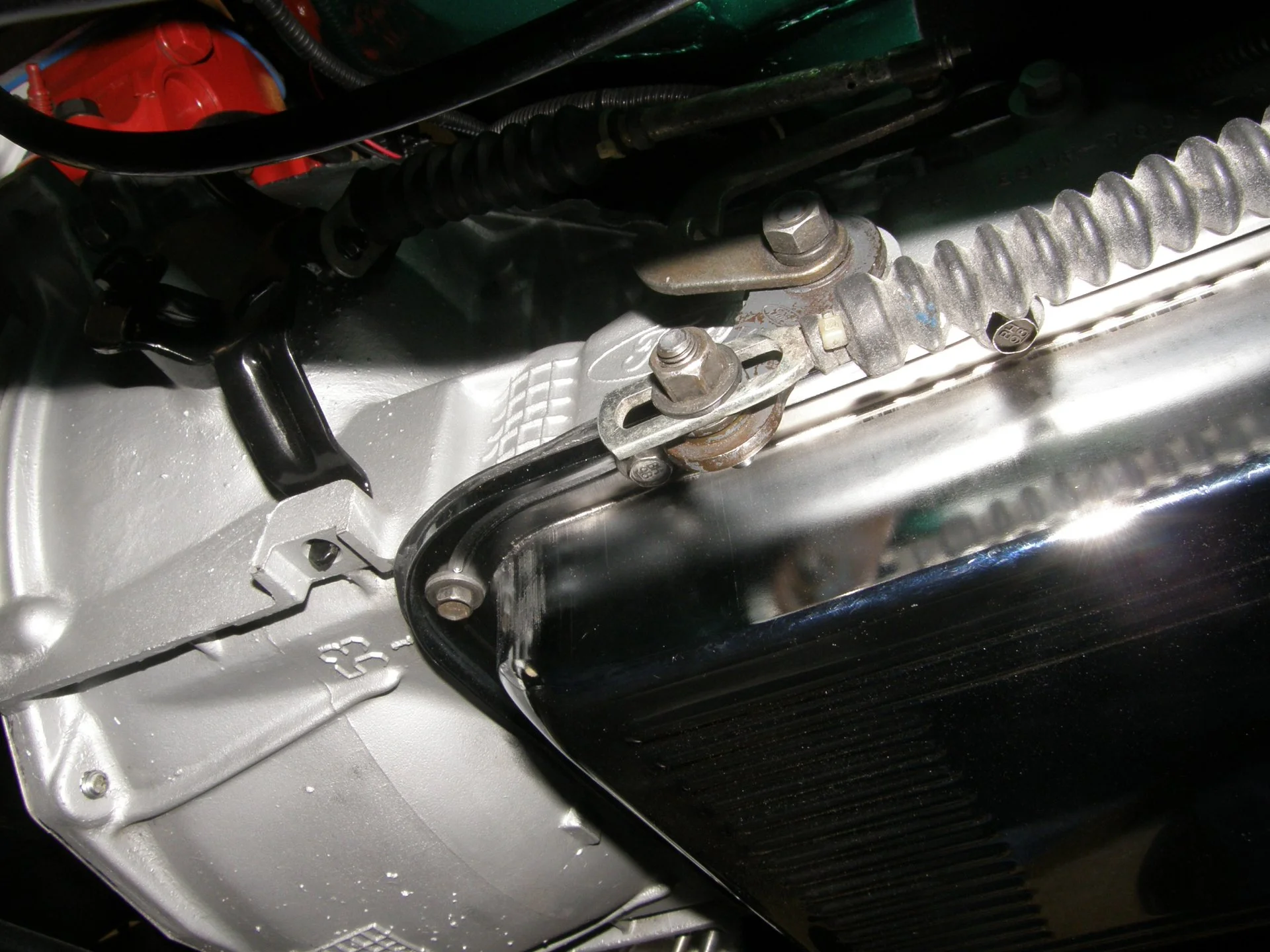 P1010006_1.webp