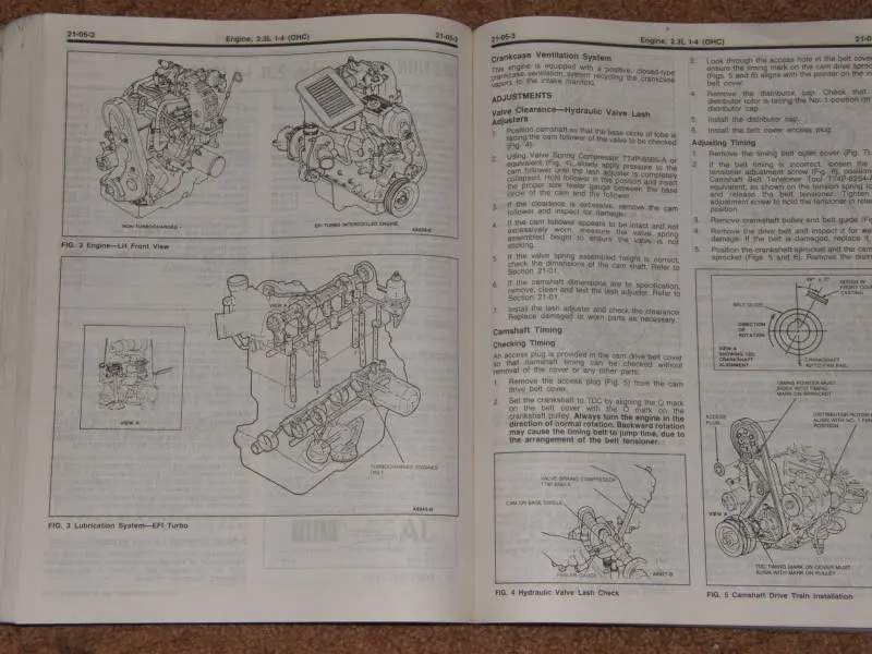 P1010007_02.webp