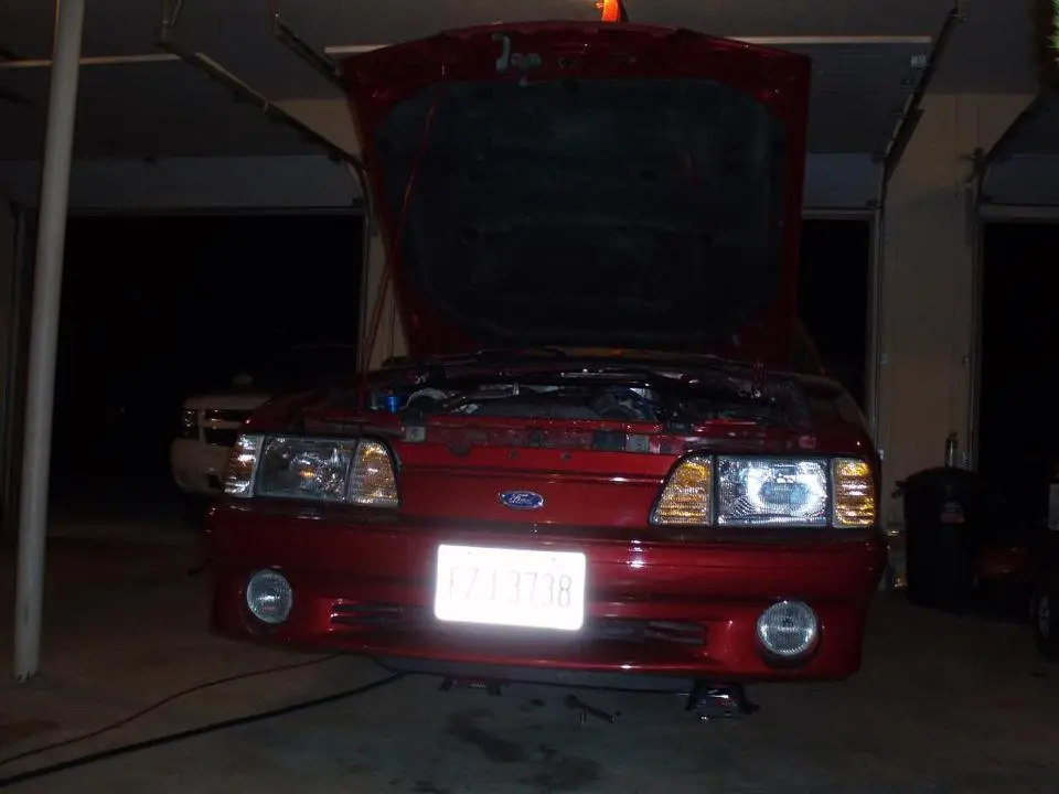 P1010010-1.webp