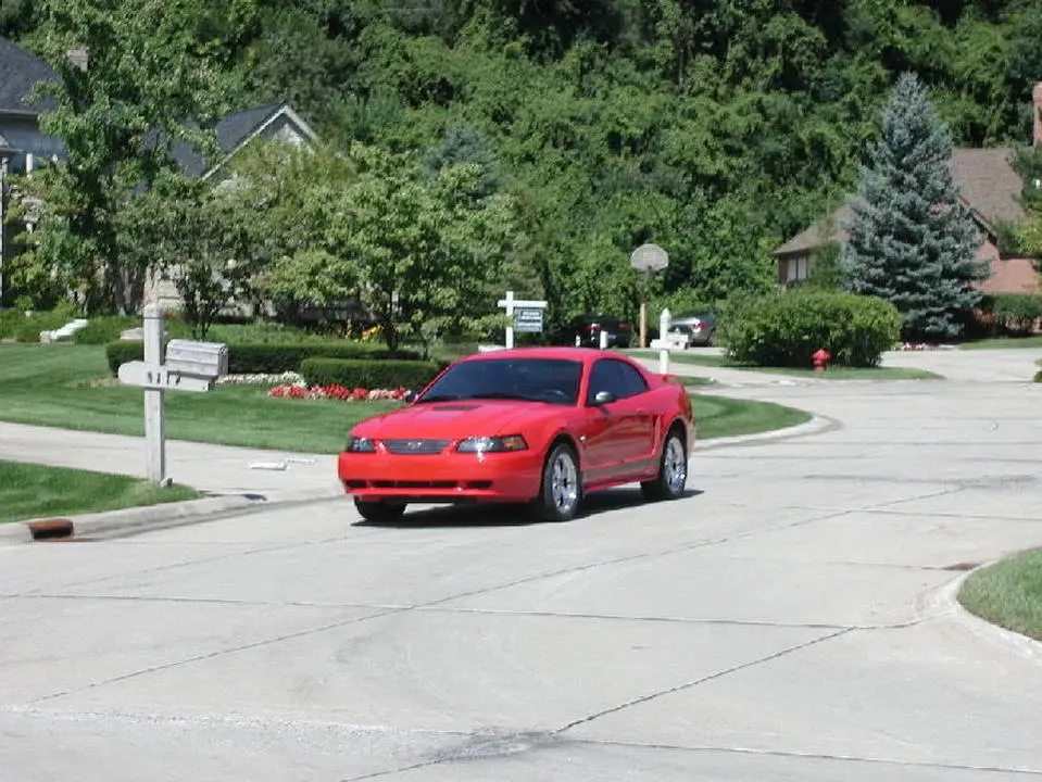 P1010015.webp