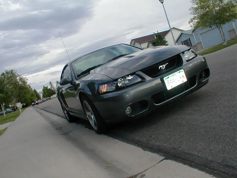 P1010017.webp