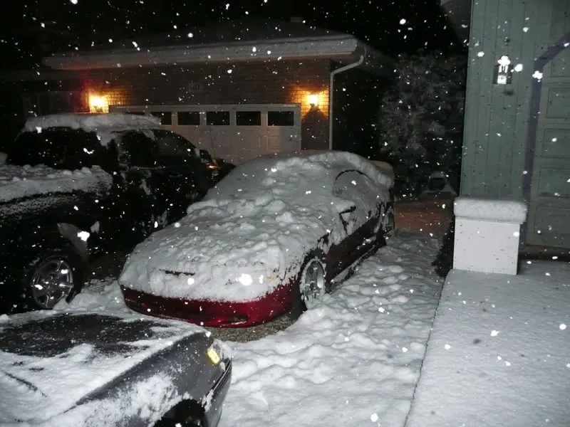 P1010038.webp